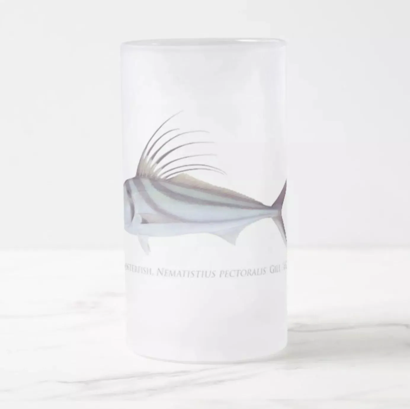 Roosterfish - Frosted Glass Stein